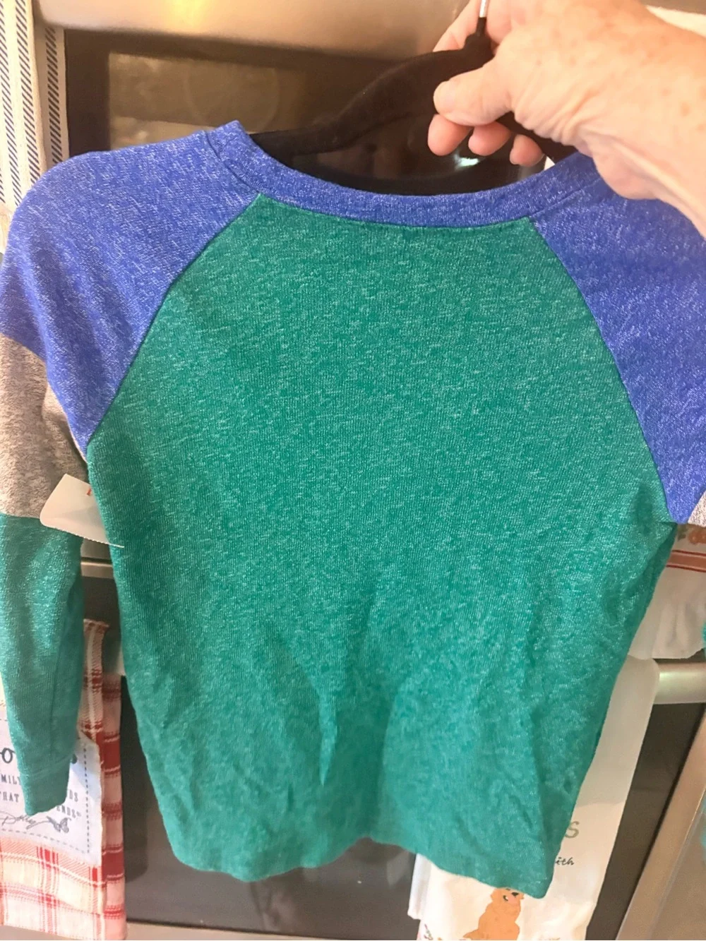 OshKosh B'gosh Green, Blue & Gray Raglan Long Sleeve Tee